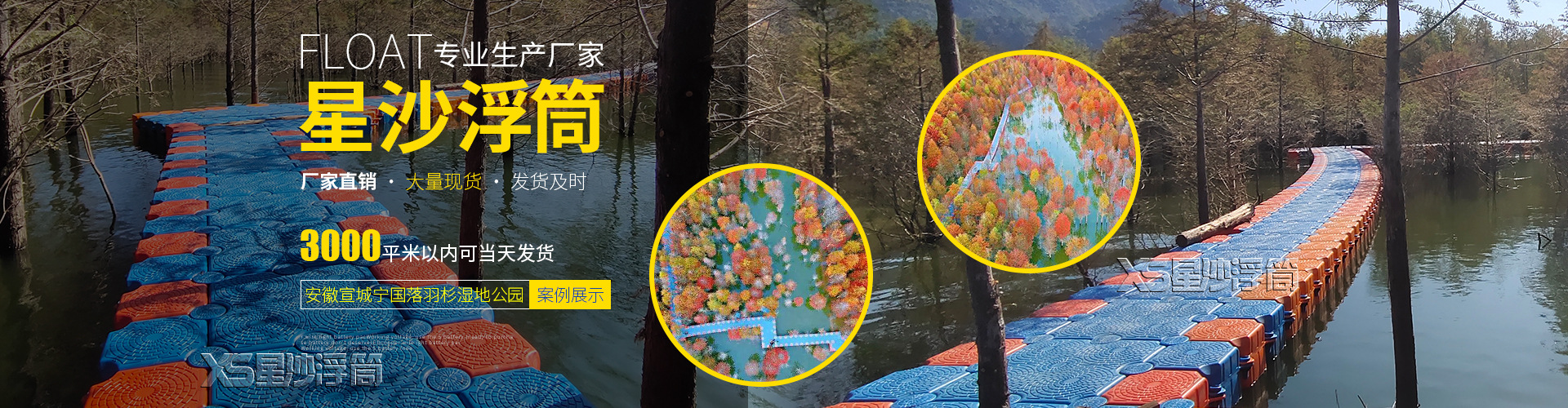 安徽寧國落羽杉濕地公園